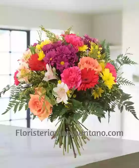 Floristería Pino Montano (Flores MªCarmen)