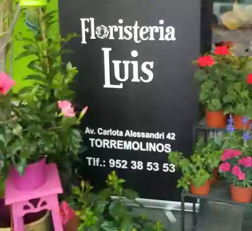 Floristería Luis