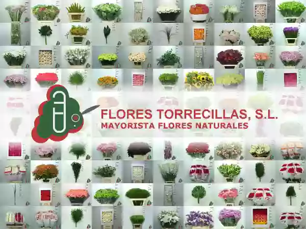 Flores Torrecillas, S.L.