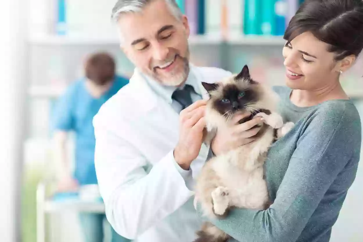 Centro Clínico Veterinario de Zaragoza