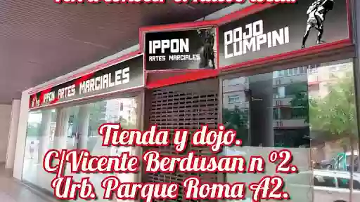 Ippon Artes Marciales