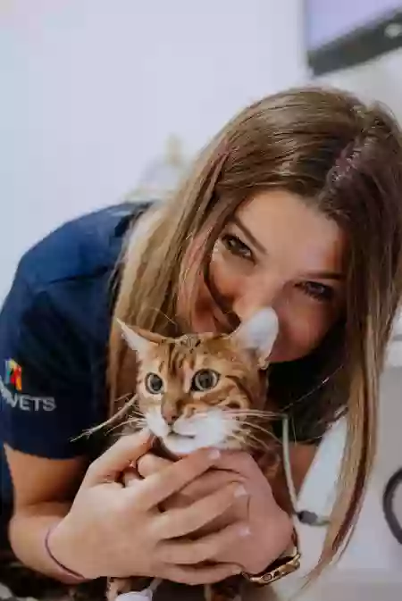 Clínica Veterinaria Puerto Venecia (CVPV)