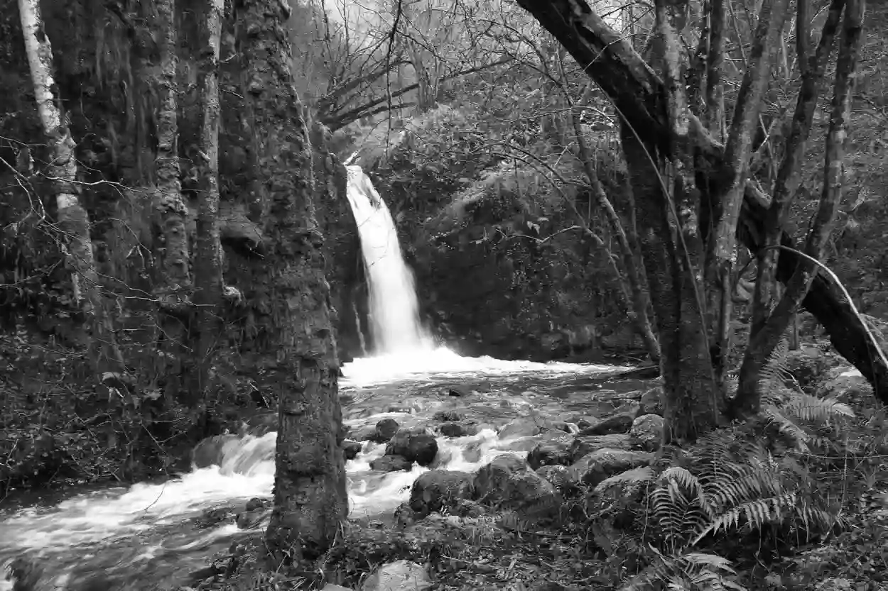 Cascada del Chorrón - Villamayor