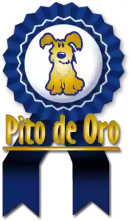 Pito De Oro