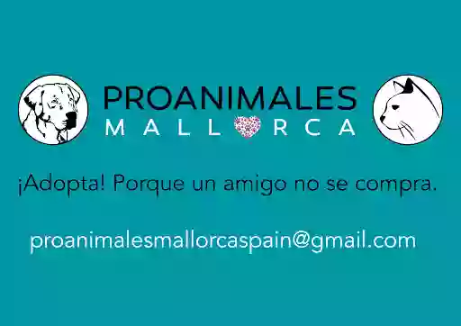 Charity Shop Pro Animales Alcudia Mallorca