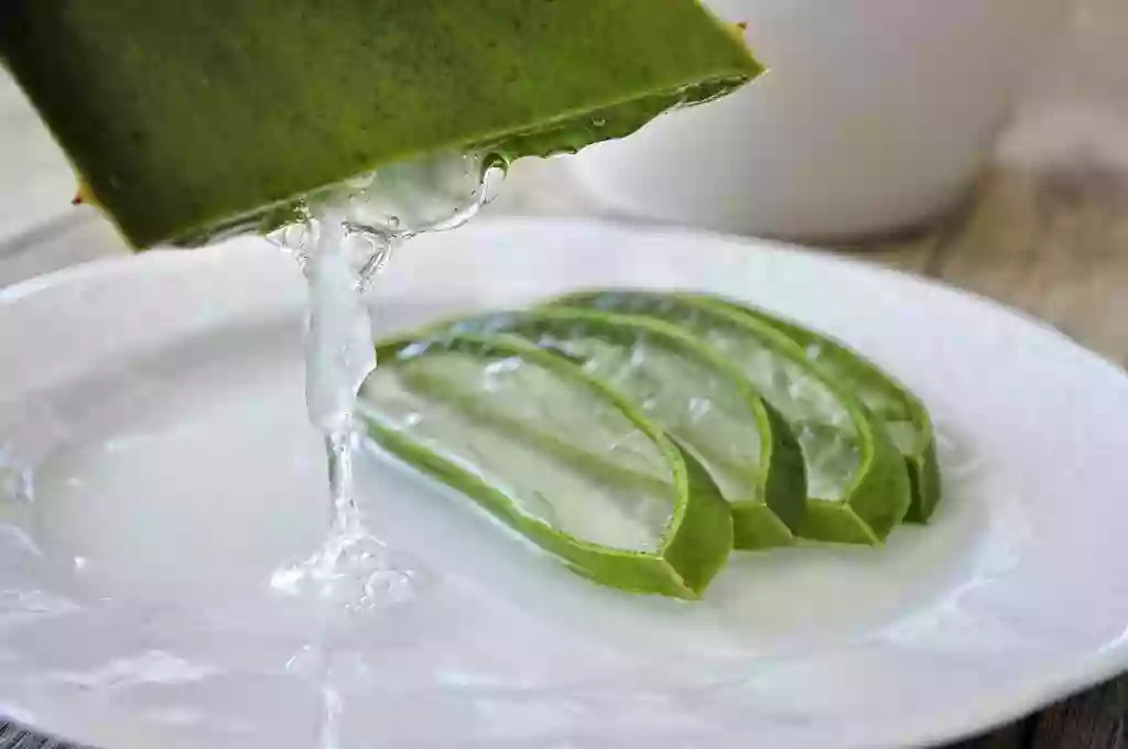 Ibizaloe - Plantación, Museo y Tienda del Aloe Vera