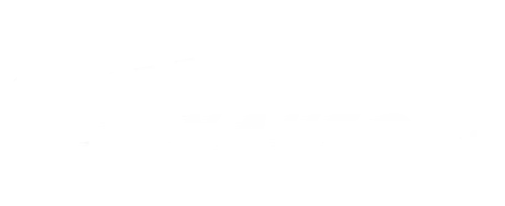 Junauto