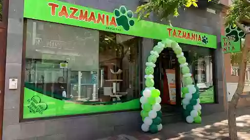 Tazmania mascotas Los Llanos