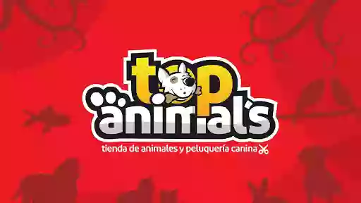 TOP ANIMALS TENERIFE