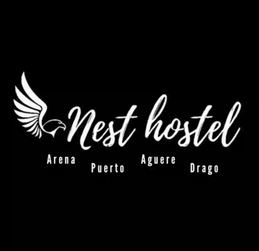 Arena Nest Hostel