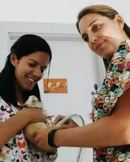 Clínica Veterinaria Okapi