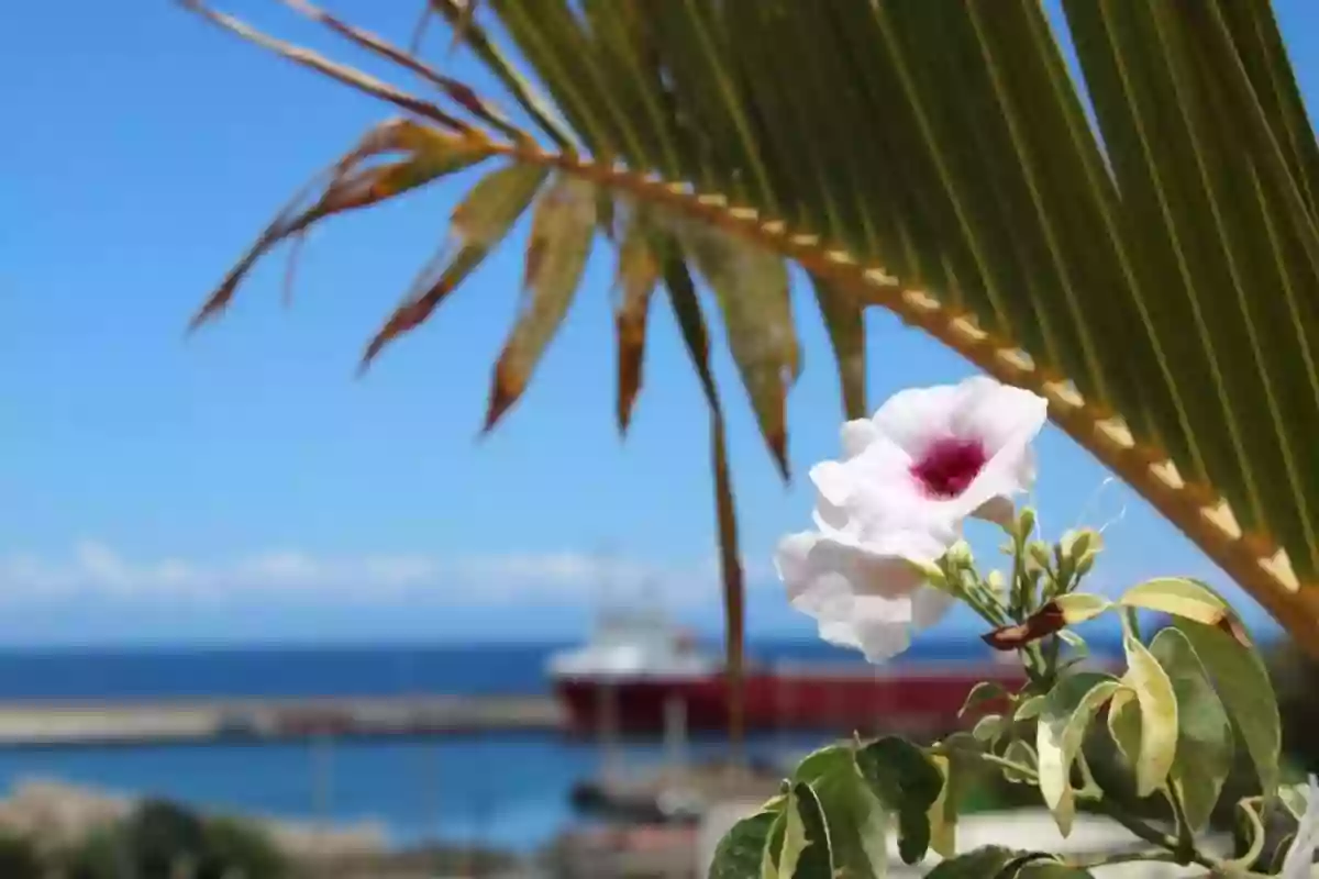 Aloha Tenerife