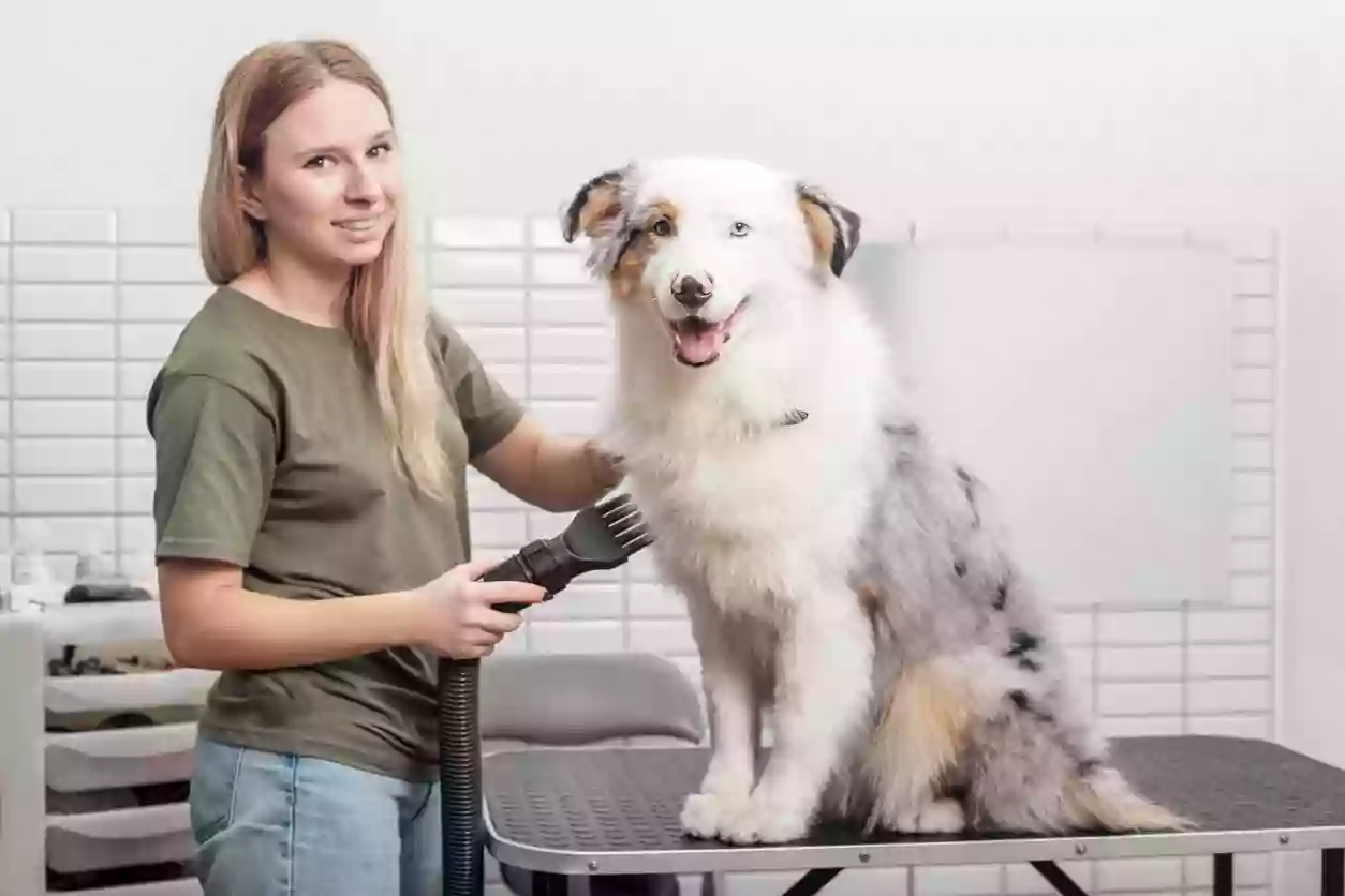 QUE GUAU! Peluqueria, alimentacion y complementos para mascotas