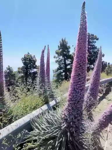 Vv Casa Los Tilos