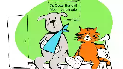 Veterinario Cesar Bertoldi