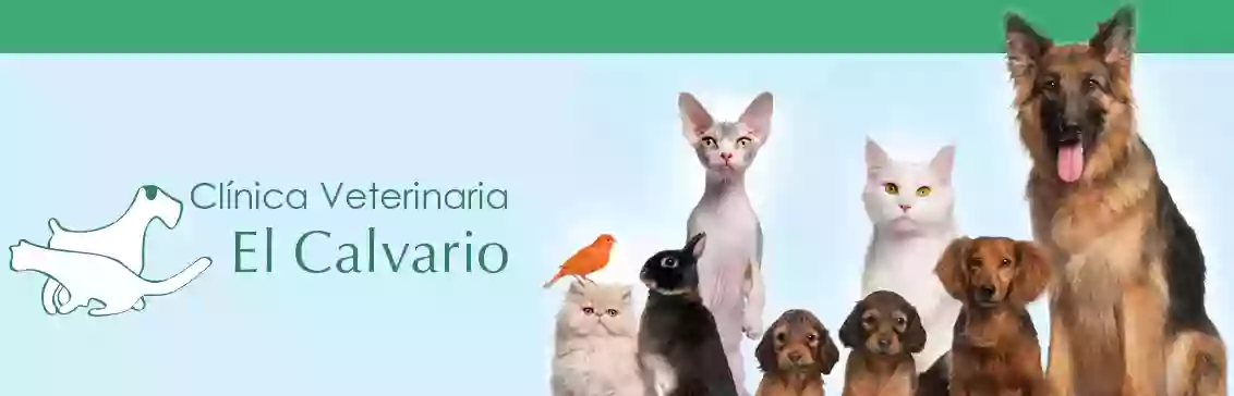 Clinica Veterinaria El Calvario