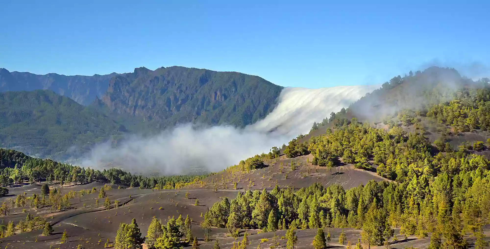 La Palma Kaleidoscope