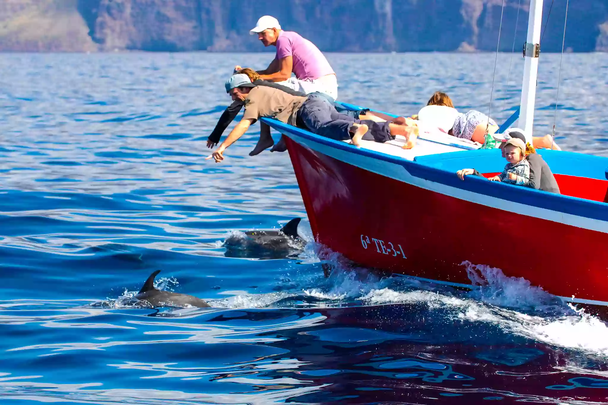 Oceano - Whale Watching La Gomera