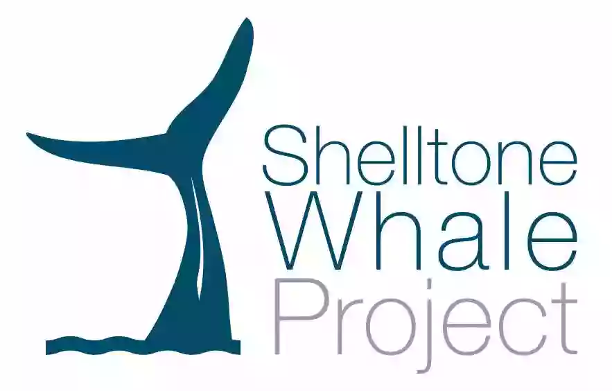 Shelltone Whale Project - Whales Watching Tenerife