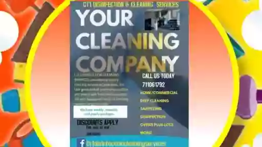 CT1 Disinfection & Cleaning services
