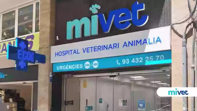 Hospital Veterinario Bustamante | MiVet