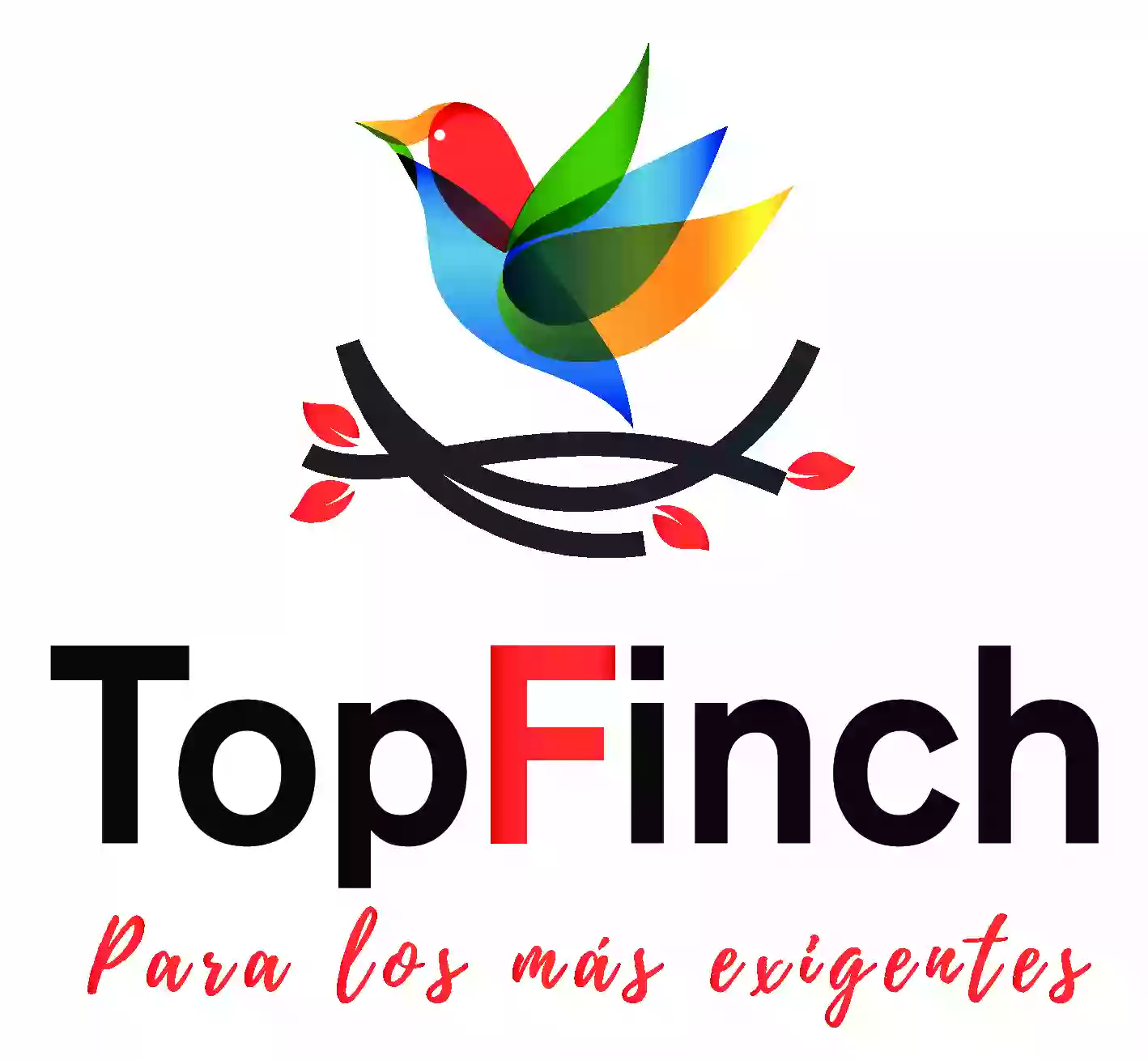 TopFinch