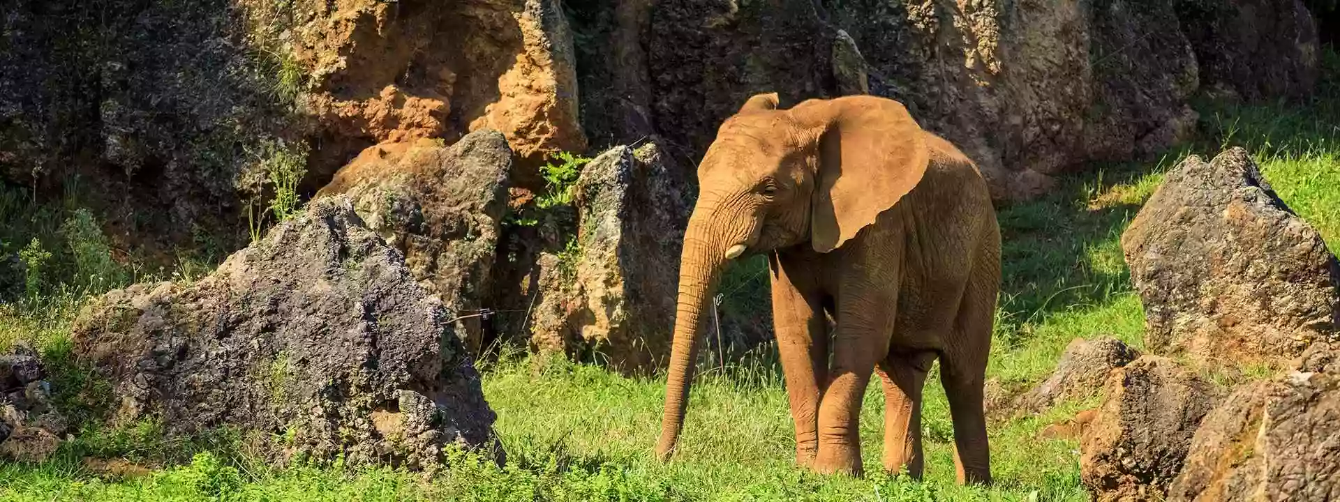 Parque de la Naturaleza de Cabárceno