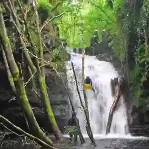 Alto Asón Aventura - Canoas río Asón