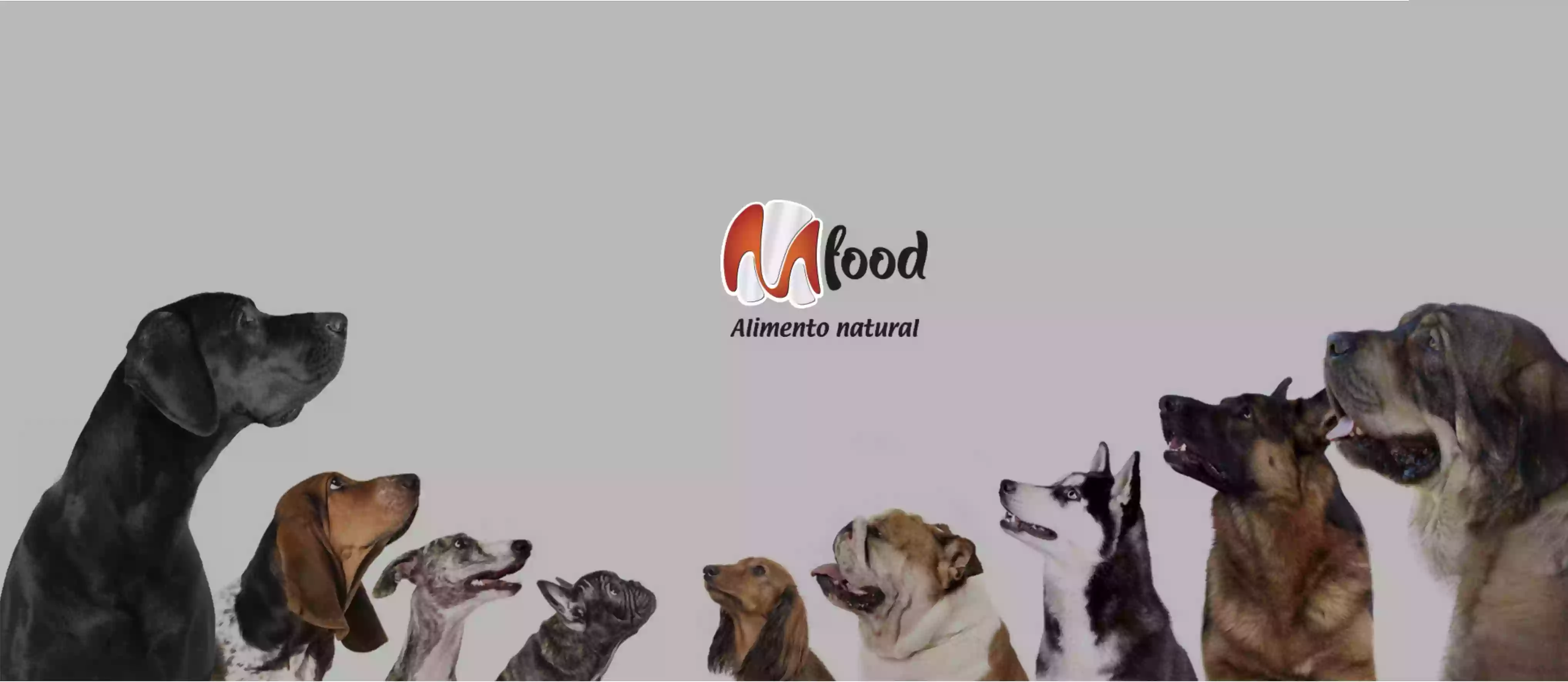 Alimentación canina Mfood