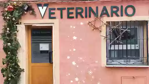 VANVET VETERINARIA