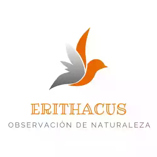 Erithacus-Observación de Naturaleza
