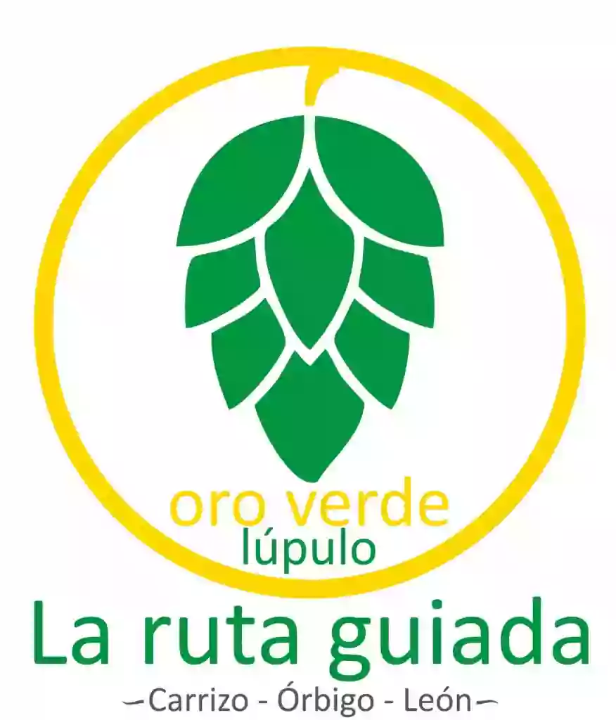 Ruta guiada del lúpulo "oro verde"