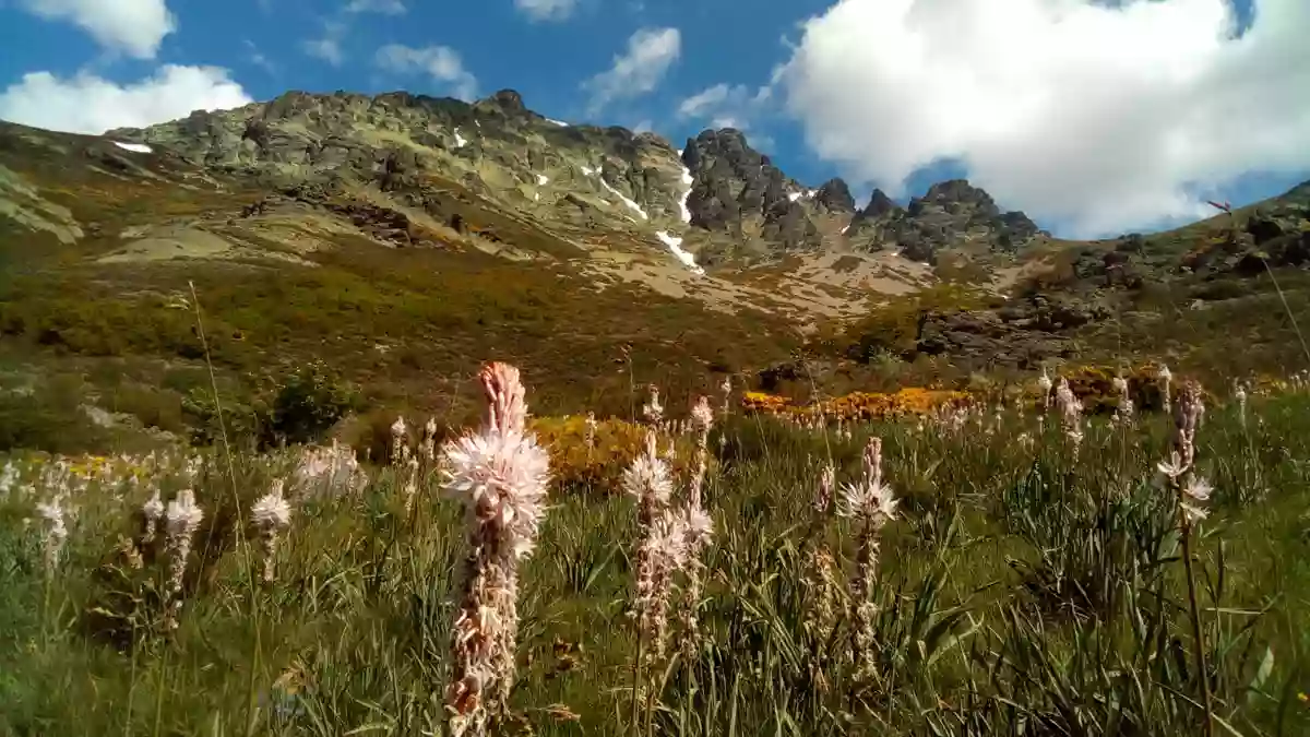 Valles y Cumbres. Guías de la Montaña Palentina