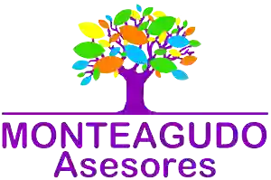 Monteagudo Asesores | Asesoría contable, fiscal y laboral