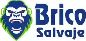 Brico Salvaje - Tienda de Pintura