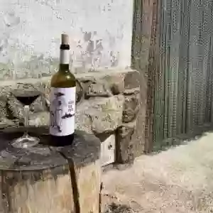 Vino héroe sin capa