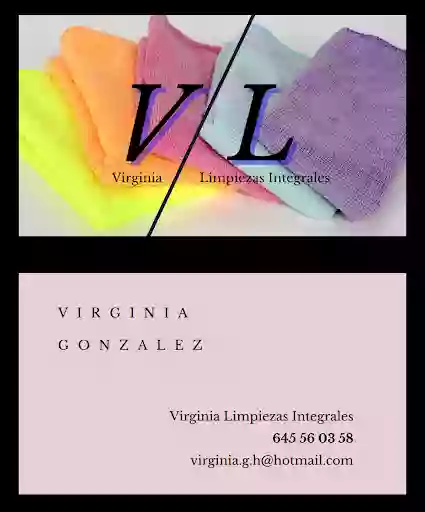 Limpiezas Integrales Virginia- limpiezas burgos