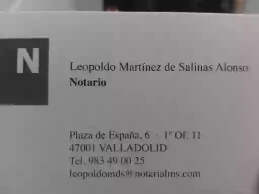 Leopoldo Martínez de Salinas Alonso