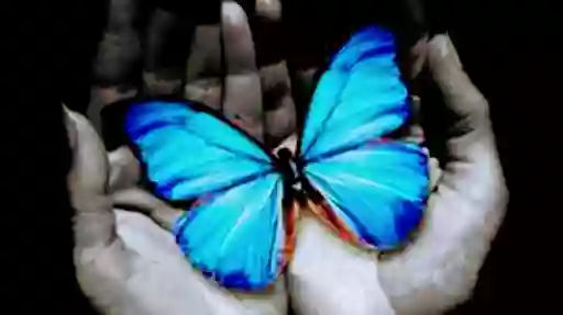Terapias Naturales La Mariposa Azul