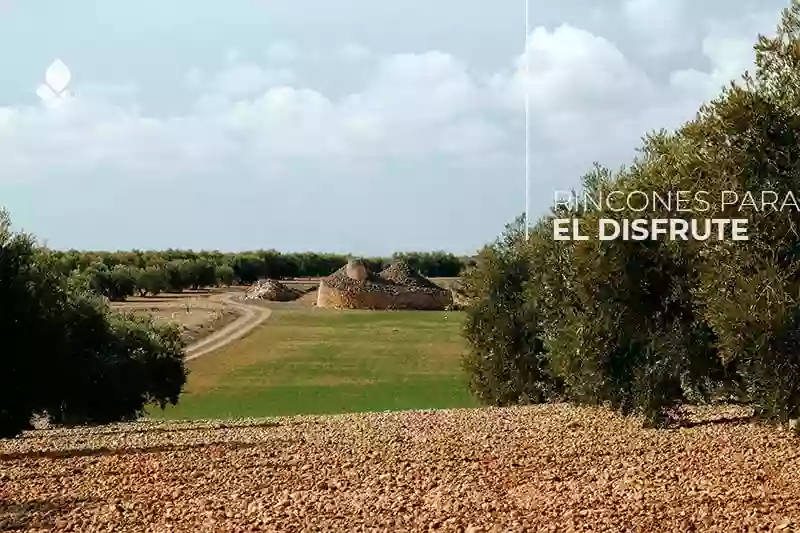 Finca Luz de Alba-Alojamientos turísticos