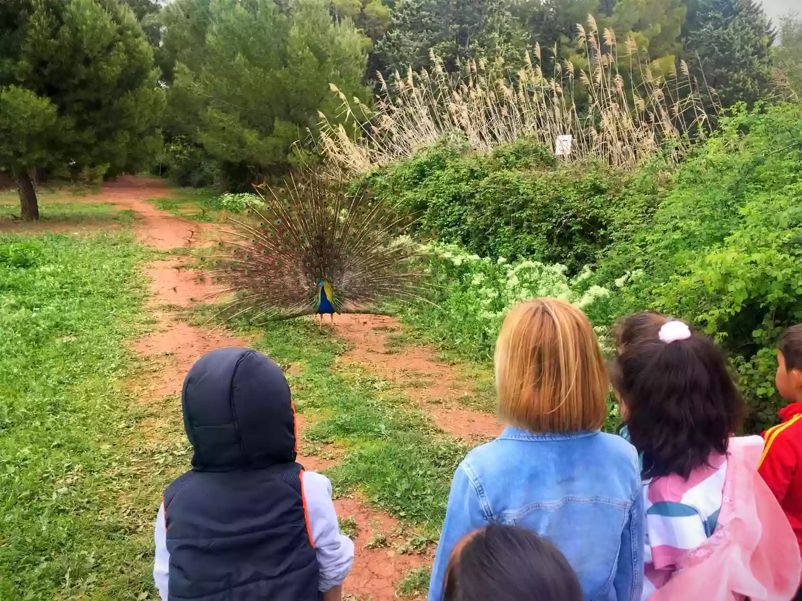 Granja escuela Atalaya de Alcaraz