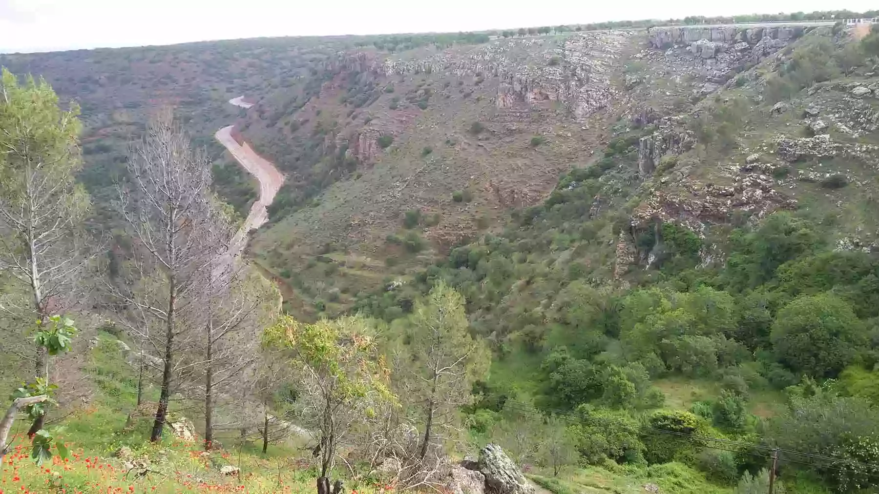 Casa Rural Las Camilas- Sierra de Alcaraz y Segura en Albacete