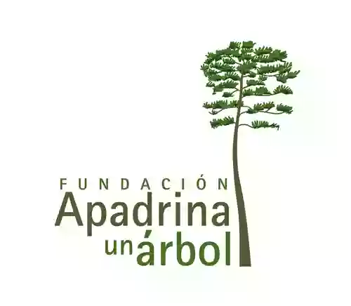 Albergue Rural - Centro de Educación Ambiental "Dehesa de Solanillos"