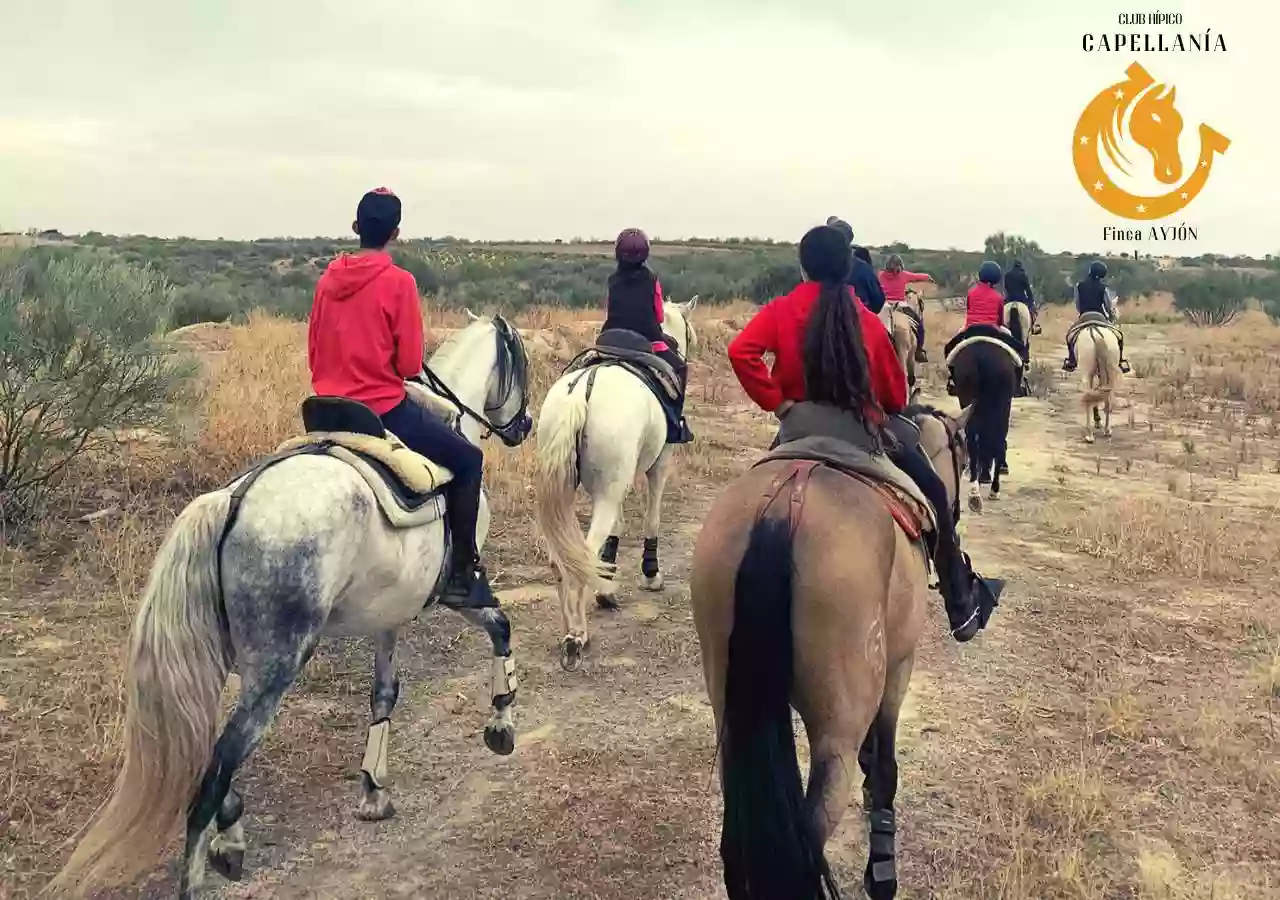 Finca Ayjón, pádel, Alquiler para eventos y celebraciones