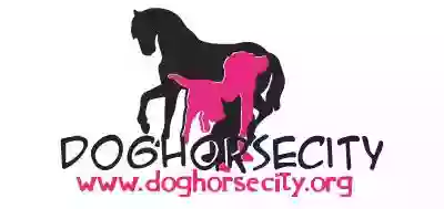 Dog Horse City