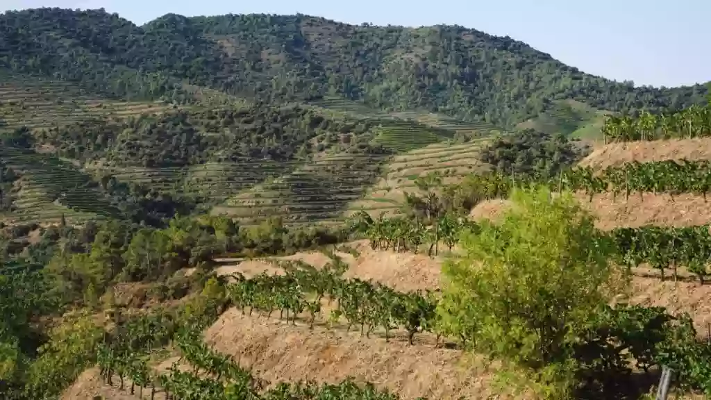 ORA Hotel Priorat