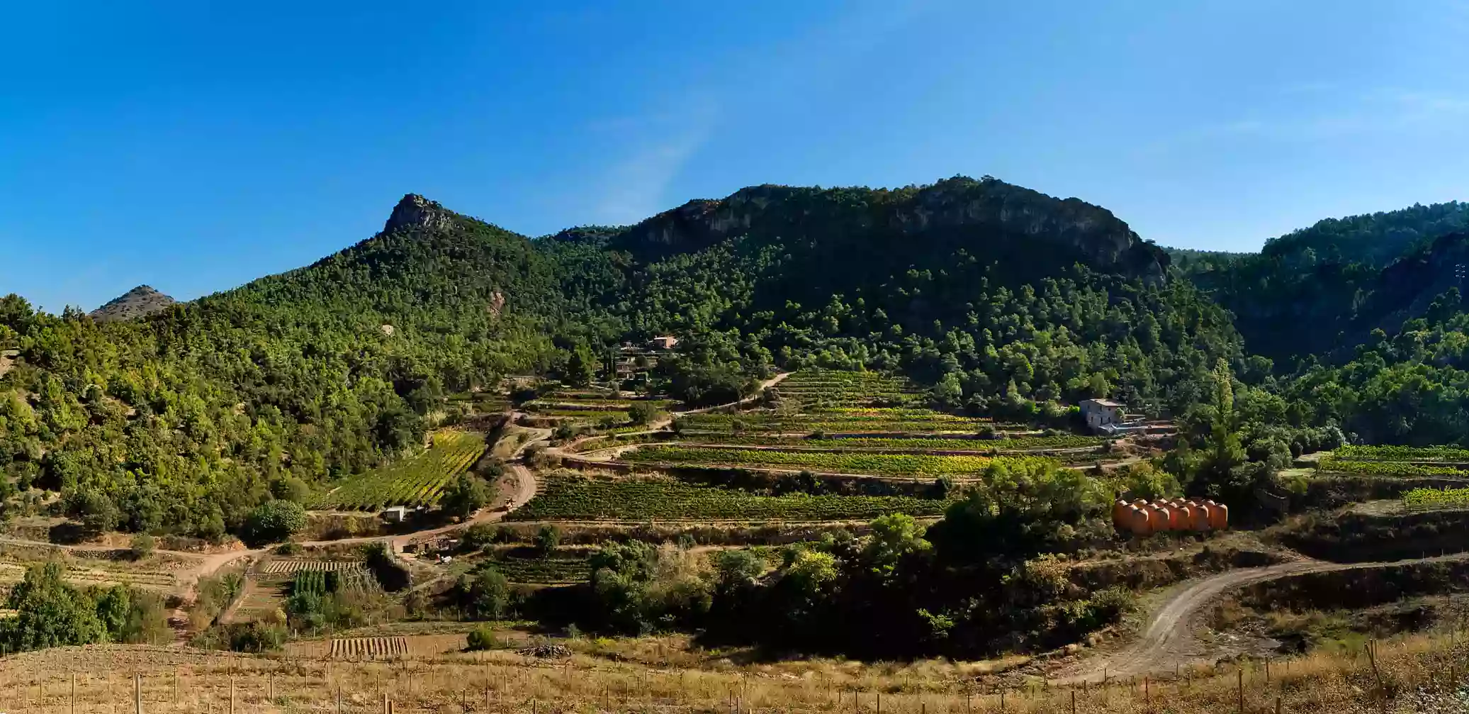 Finca Fontanals Enoturisme (Priorat)