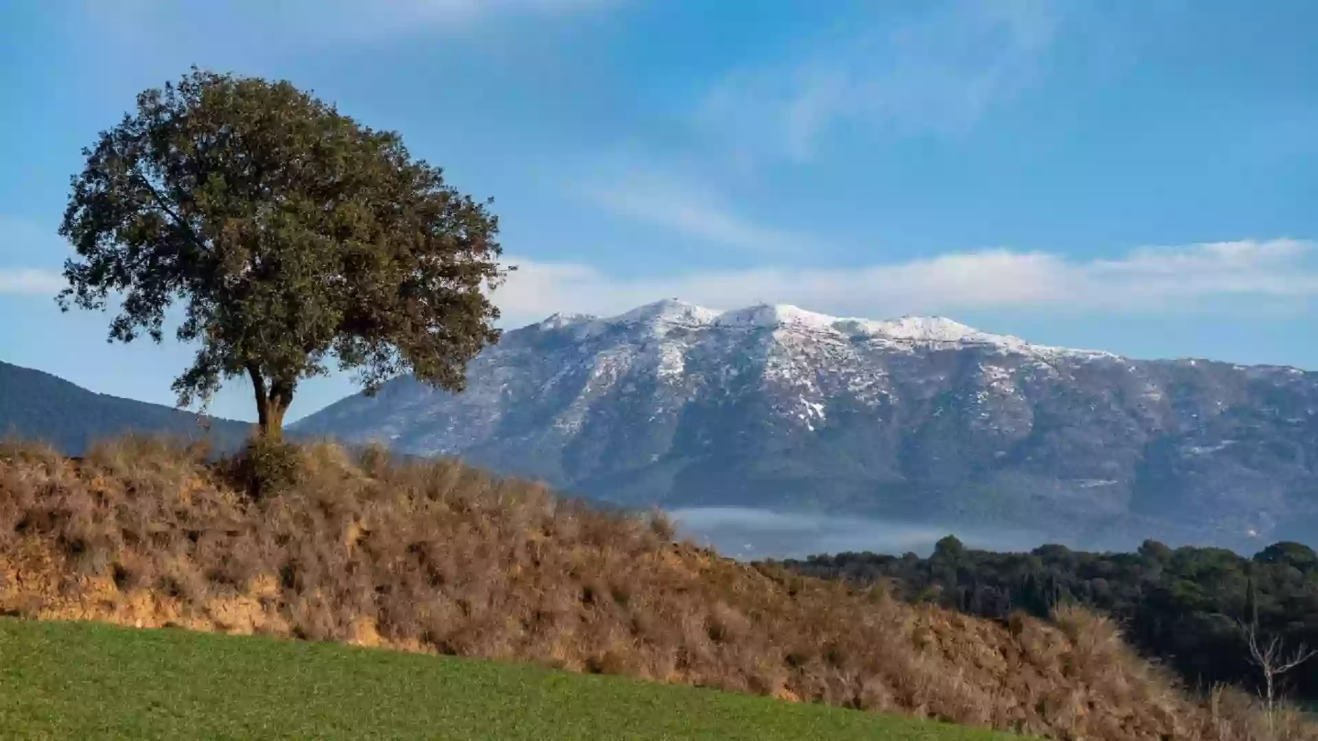 Fonda Llobera