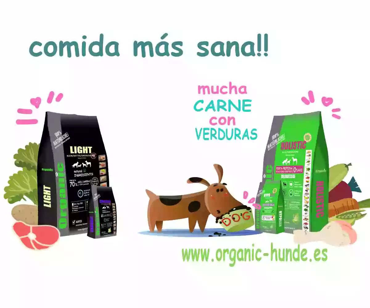 ORGANIC-HUNDE | Alimentos para perros con muchos Beneficios