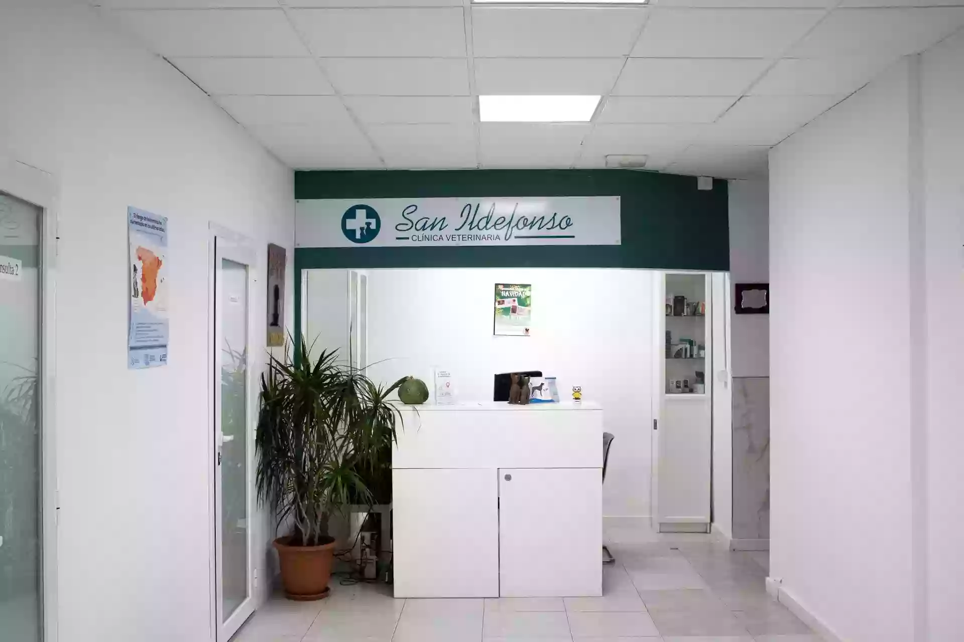 Centro Veterinario San Ildefonso